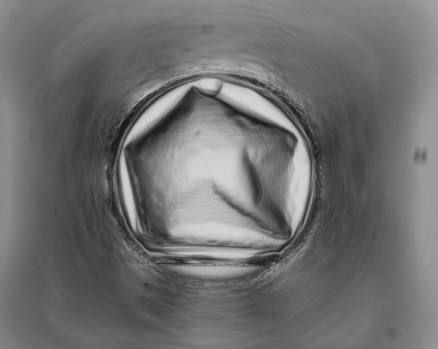 X0000094081497200711091203