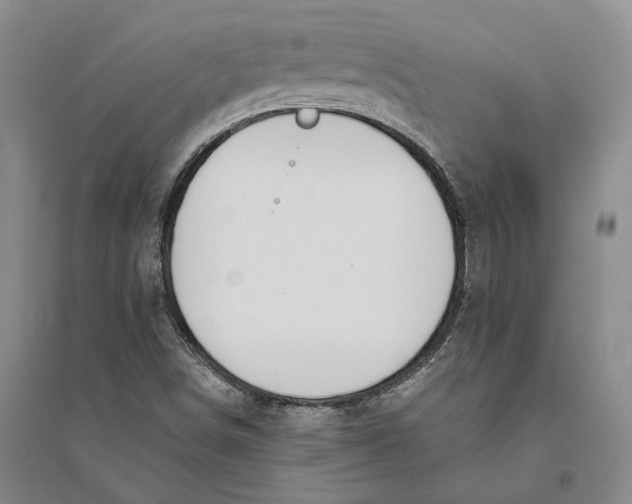 X0000094081498200711091203