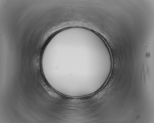 X0000094081499200711091203