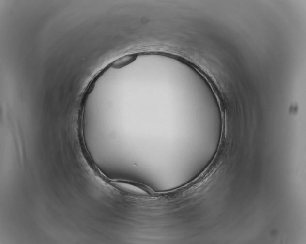 X0000094081500200711091203