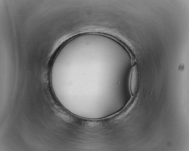 X0000094081501200711091203