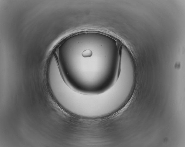 X0000094081502200711091203