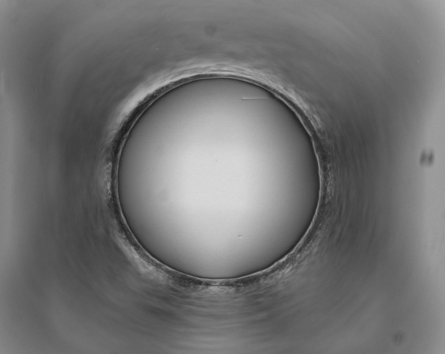 X0000094081503200711091203