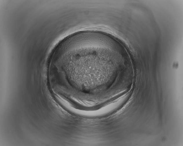 X0000094081506200711091203