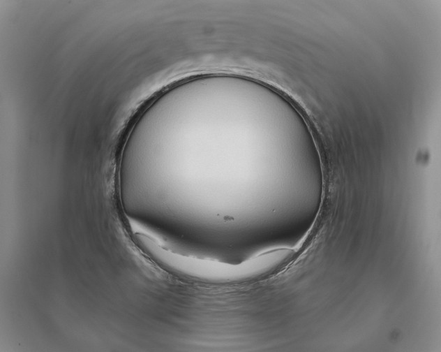 X0000094081507200711091203