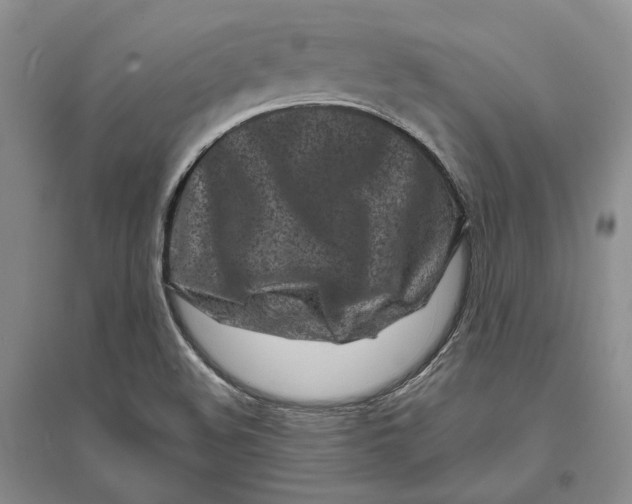 X0000094081508200711091203