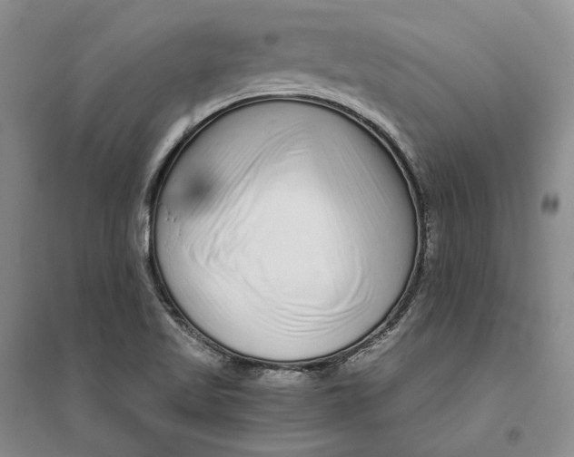X0000094081509200711091203
