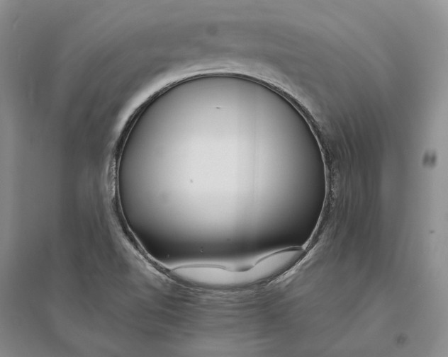 X0000094081510200711091203