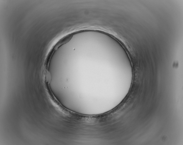 X0000094081511200711091203