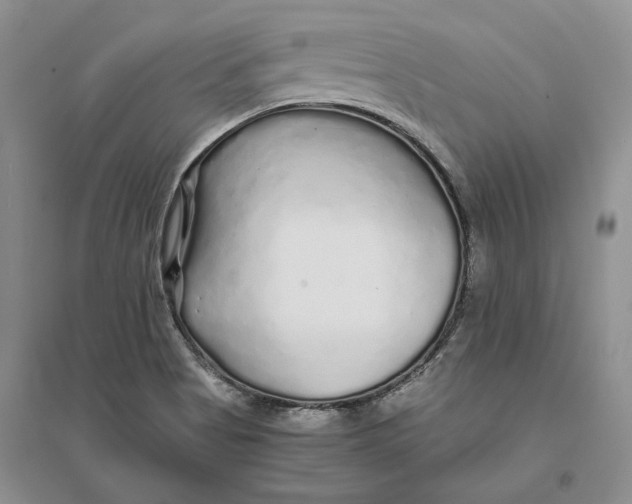 X0000094081513200711091203