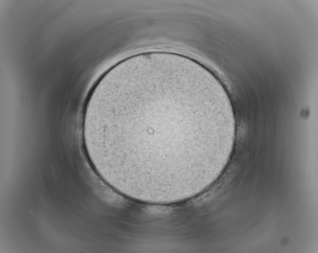 X0000094081514200711091203