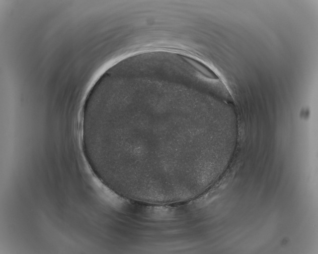 X0000094081515200711091203