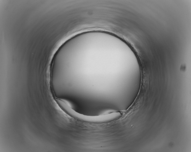 X0000094081516200711091203