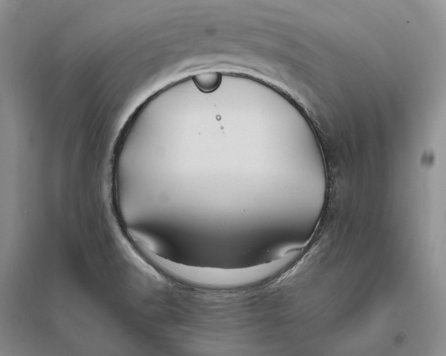 X0000094081518200711091203