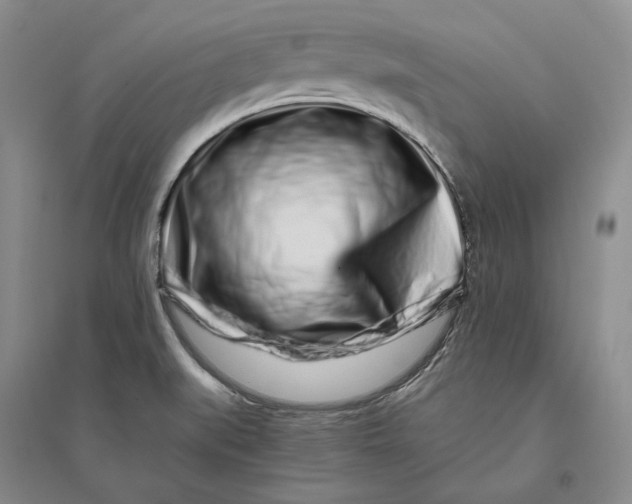 X0000094081519200711091203