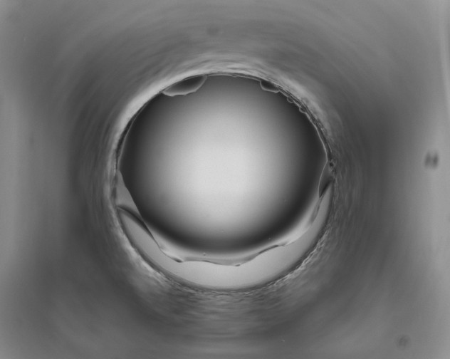 X0000094081520200711091203