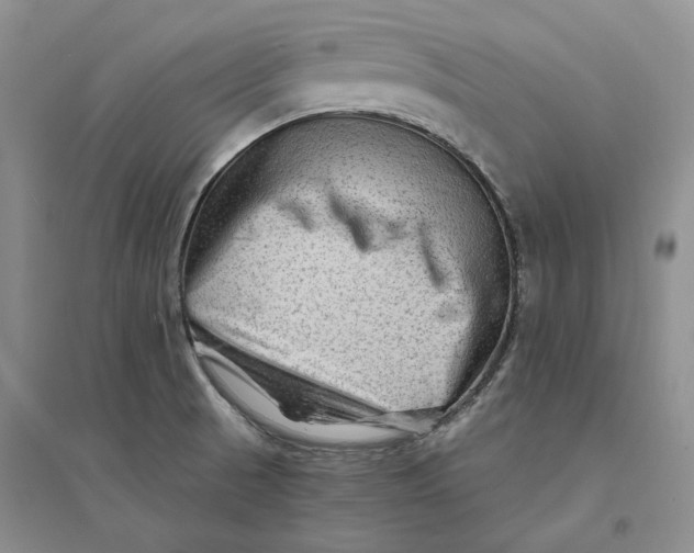 X0000094081521200711091203