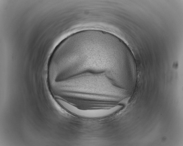 X0000094081523200711091203
