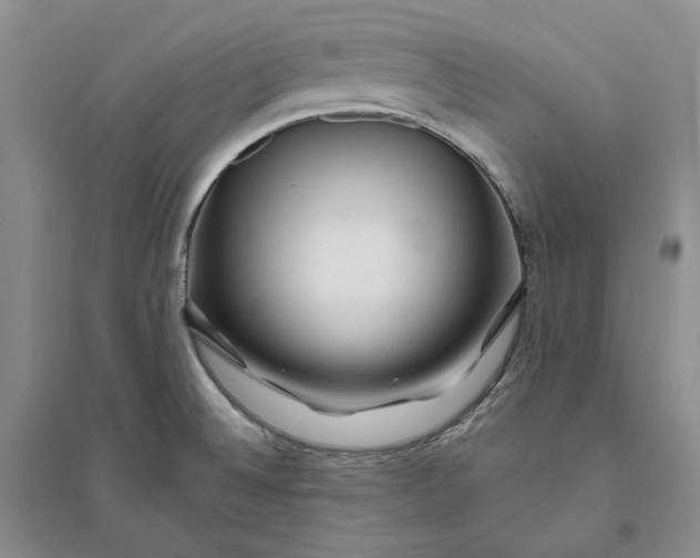X0000094081524200711091203
