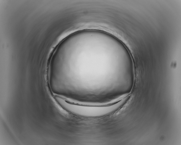 X0000094081525200711091203
