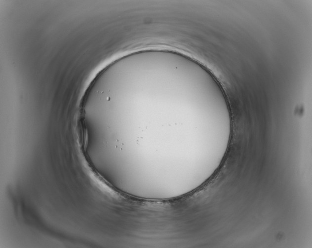 X0000094081526200711091203