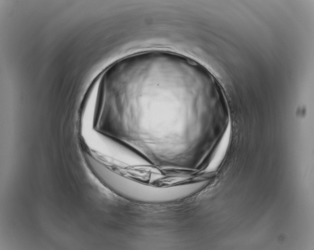 X0000094081527200711091203
