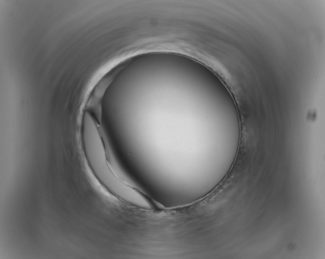 X0000094081528200711091203