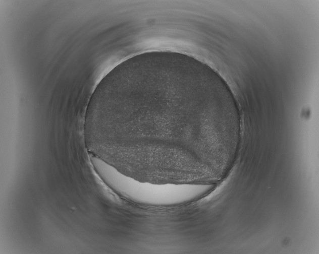 X0000094081529200711091203