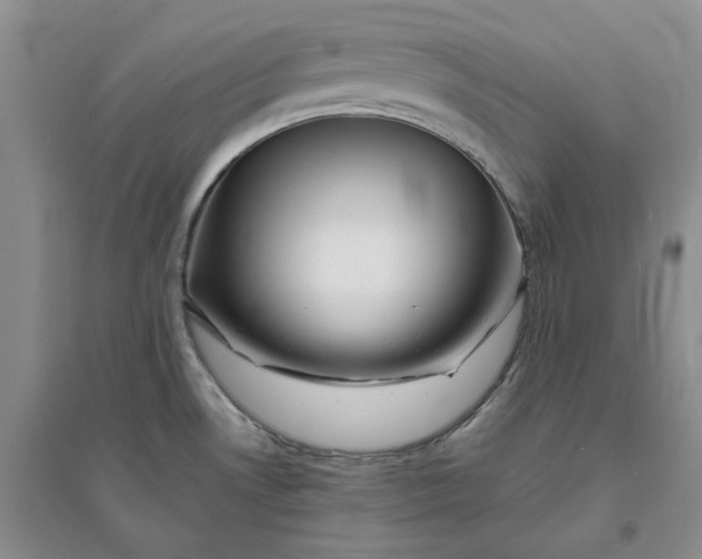 X0000094081530200711091203