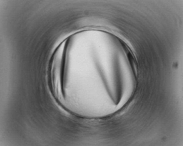 X0000094081533200711091203
