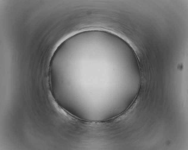 X0000094081534200711091204