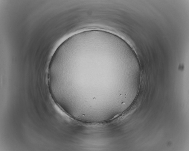 X0000094081535200711091204
