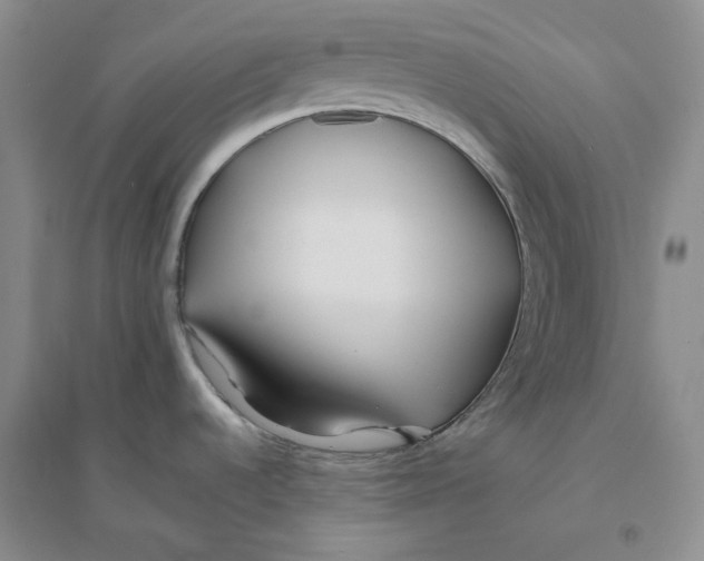 X0000094081536200711091204