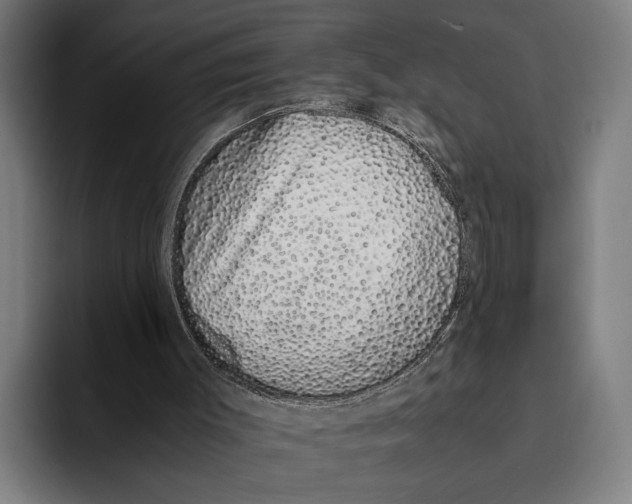 X0000094080003200711161616
