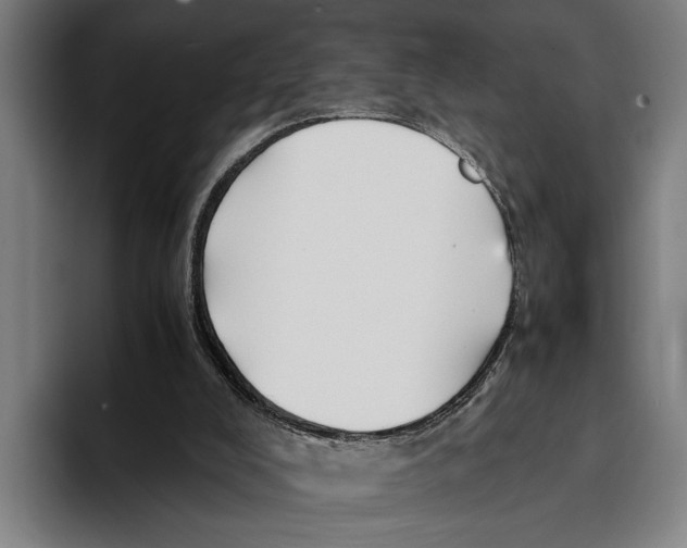 X0000094080008200711161616