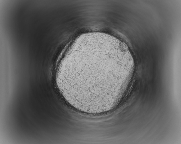 X0000094080018200711161616