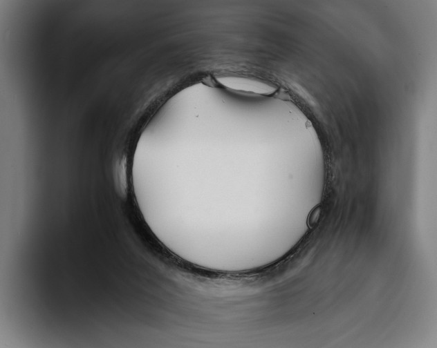 X0000094080020200711161616