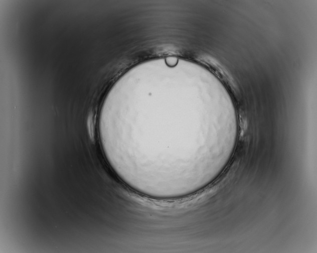 X0000094080026200711161616