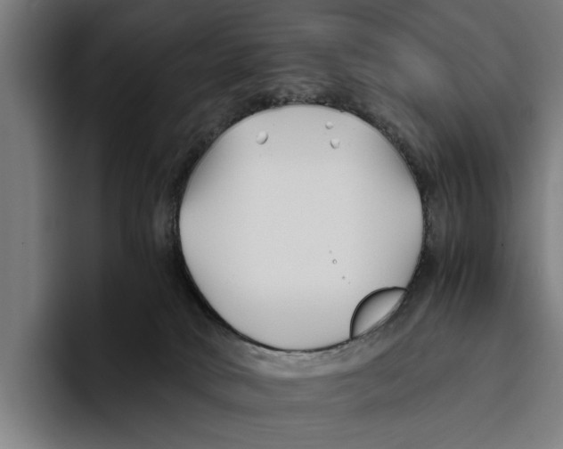 X0000094080034200711161616