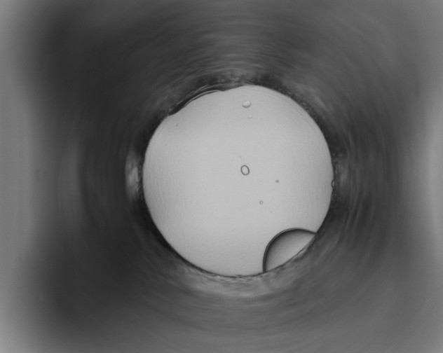X0000094080042200711161616