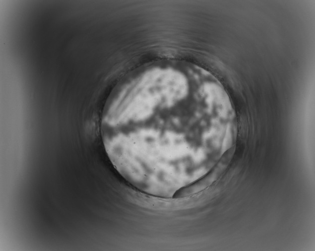 X0000094080043200711161616
