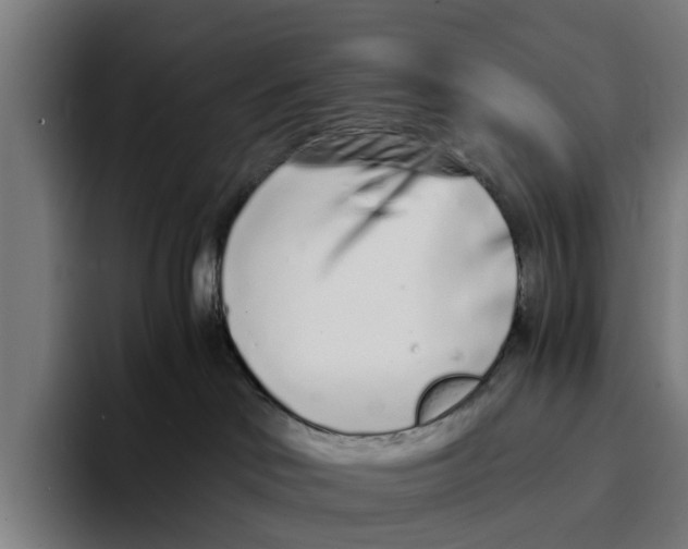 X0000094080046200711161616