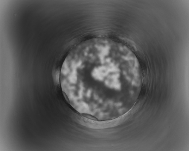 X0000094080047200711161616
