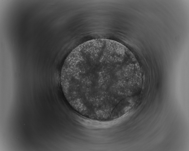 X0000094080048200711161616