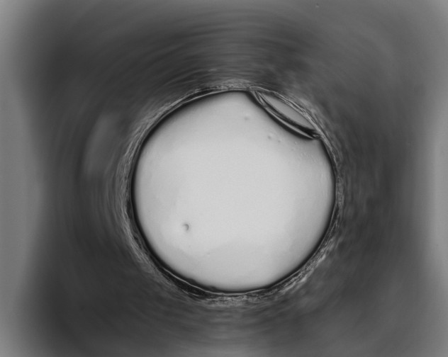 X0000094080049200711161615