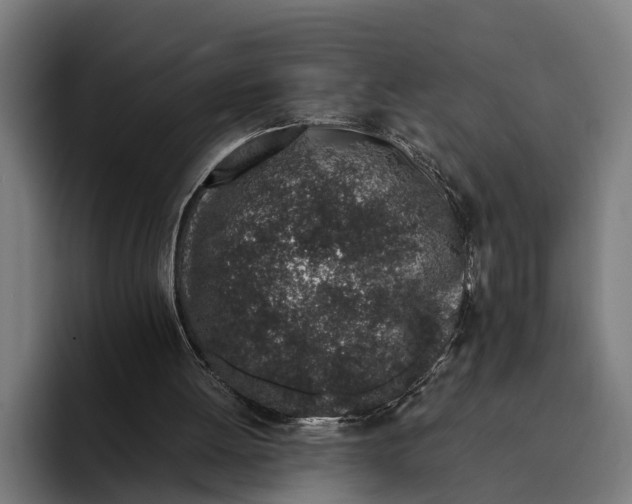 X0000094080052200711161615
