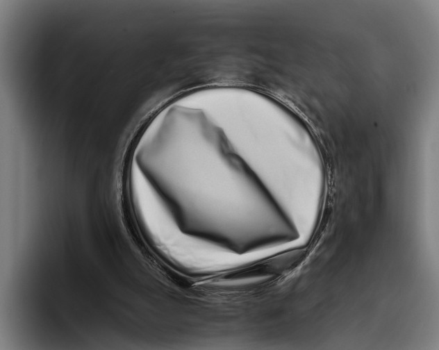 X0000094080055200711161615