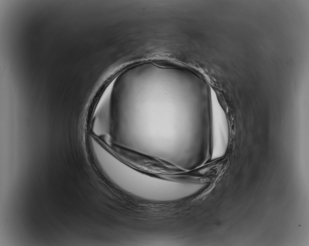 X0000094080056200711161615