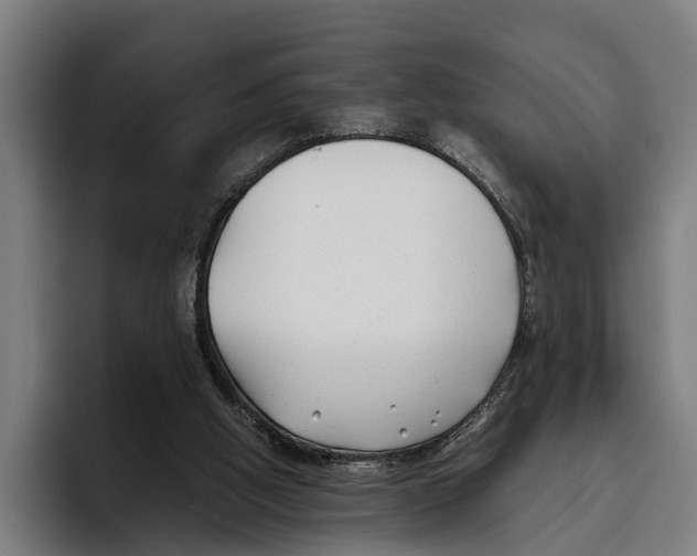 X0000094080058200711161615