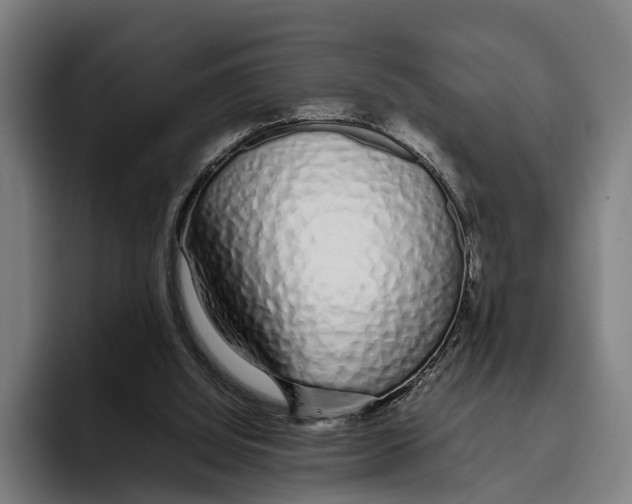 X0000094080060200711161615
